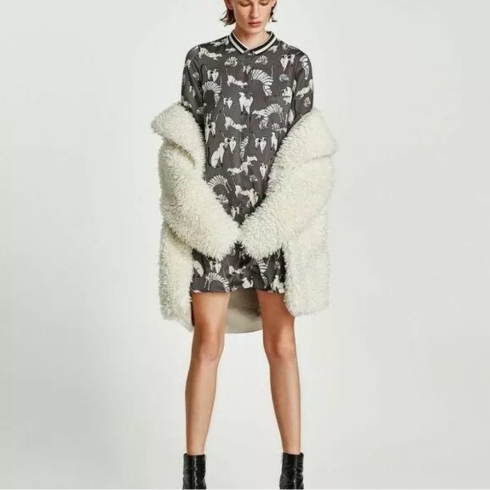 ZARA mod graphic cat dress
